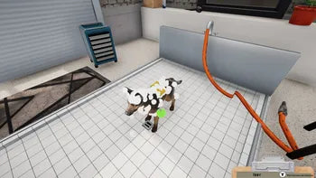 Animal Shelter Simulator XBOX LIVE Key REGIÃO